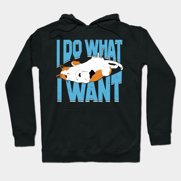 I Do What I Want Cat Lover Gift Hoodie by Dolde08